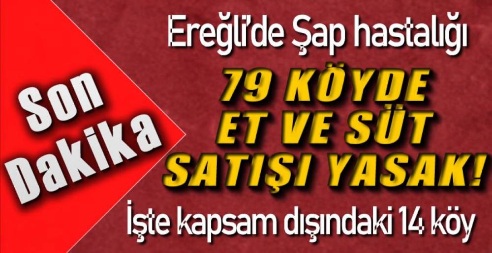 79 KÖYDE YASAKLADI !