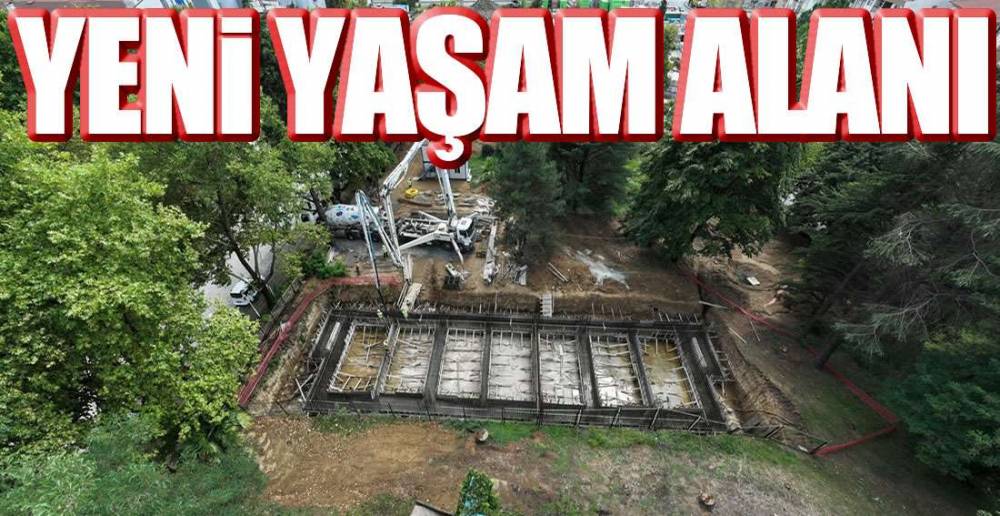 YENİ YAŞAM ALANI !