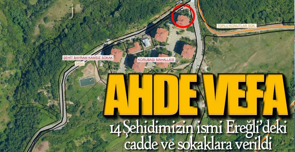 İSİMLERİ CADDE VE SOKAKLARDA YAŞAYACAK