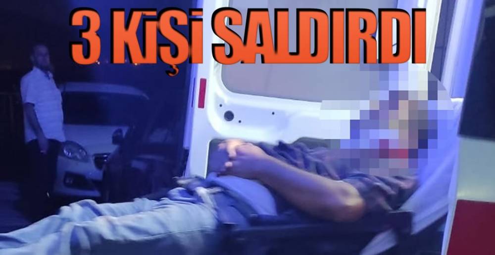 KAYINPEDERİ VE ARKADAŞLARI SALDIRDI !.