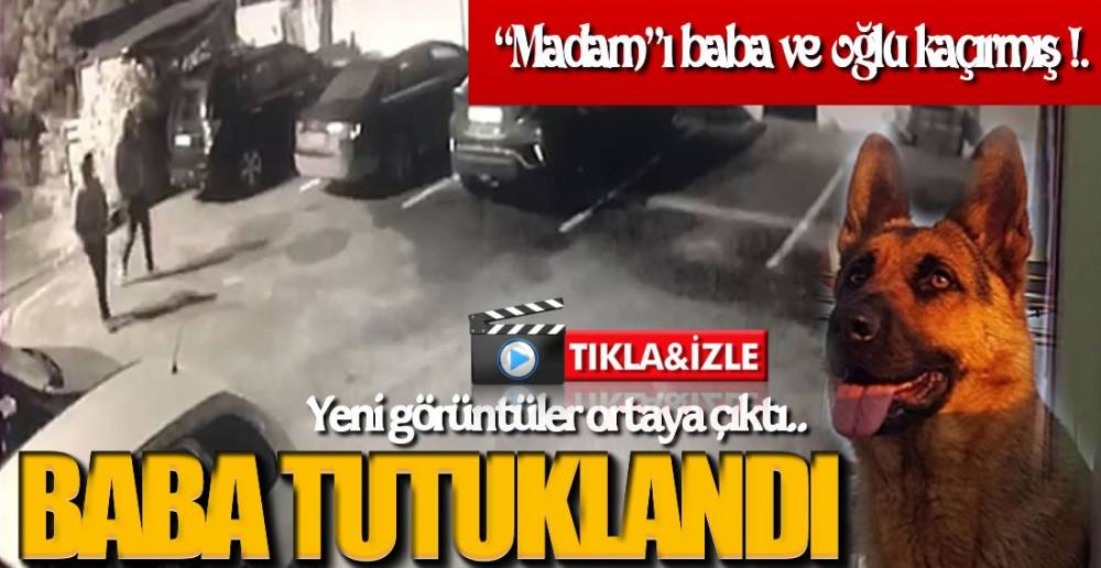 KÖPEK HIRSIZLIĞINA TUTUKLAMA