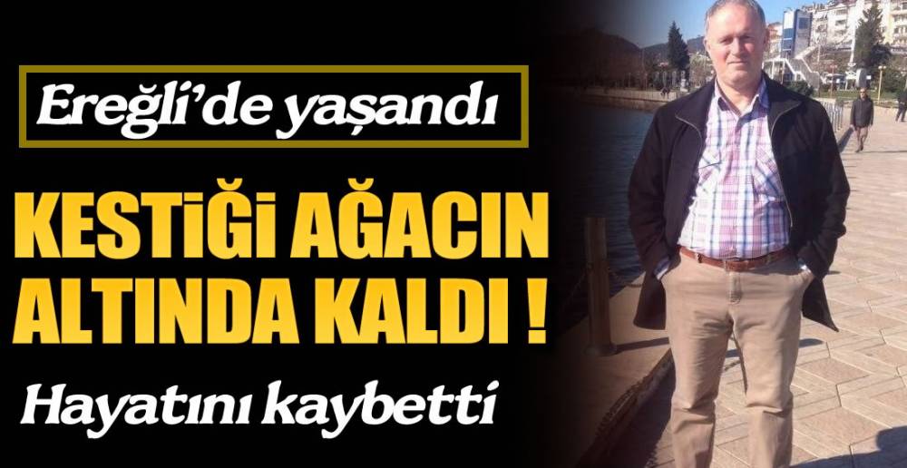 AĞACIN ALTINDA KALDI !