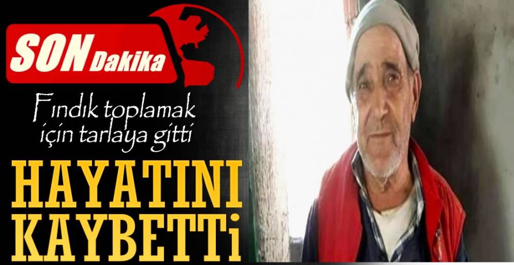 TARLADA HAYATINI KAYBETTİ