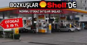 BOZKUŞLAR SHELL